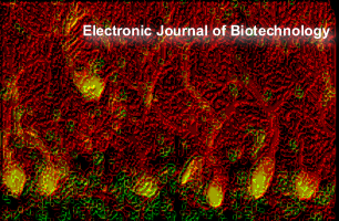 Issue of January 2006, Volume 9, Issue 1