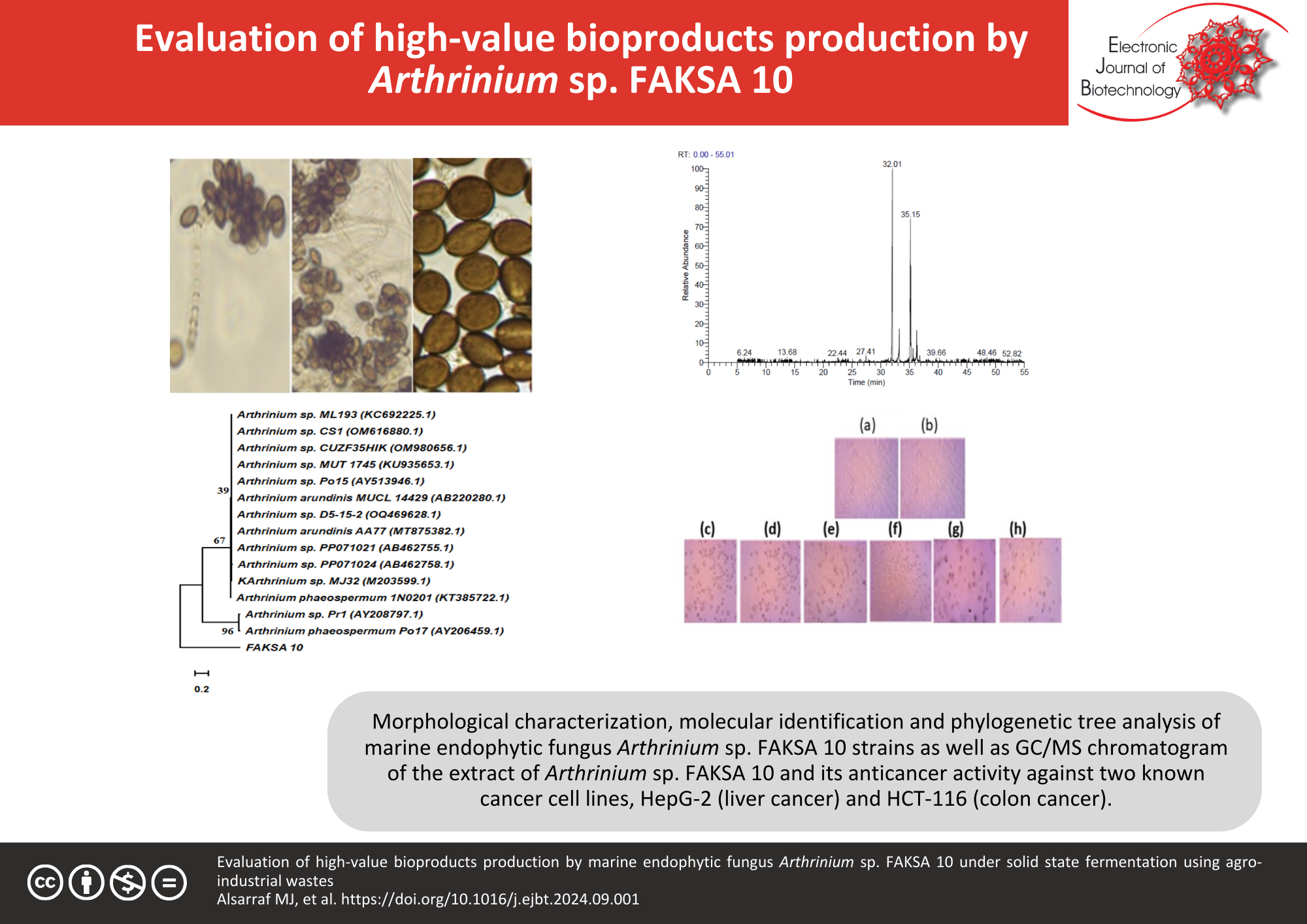 Evaluation of high-value bioproducts production by marine endophytic fungus Arthrinium sp. FAKSA 10 under solid state fermentation using agro-industrial wastes