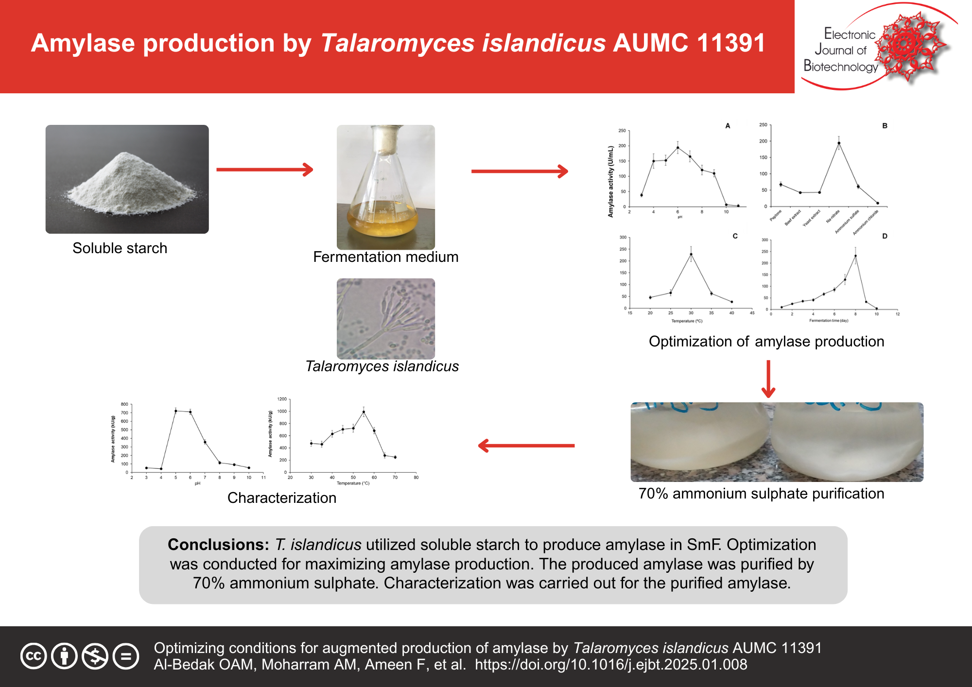 Optimizing conditions for augmented production of amylase by Talaromyces islandicus AUMC 11391