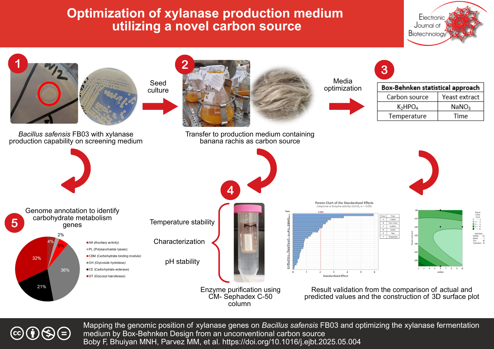 Mapping the genomic position of xylanase genes on Bacillus safensis FB03 and optimizing the xylanase fermentation medium by Box-Behnken Design from an unconventional carbon source
