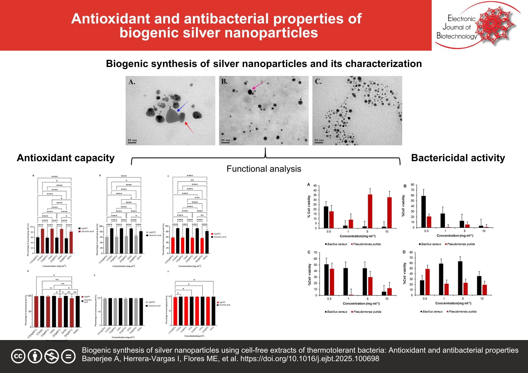 Biogenic synthesis of silver nanoparticles using cell-free extracts of thermotolerant bacteria: Antioxidant and antibacterial properties