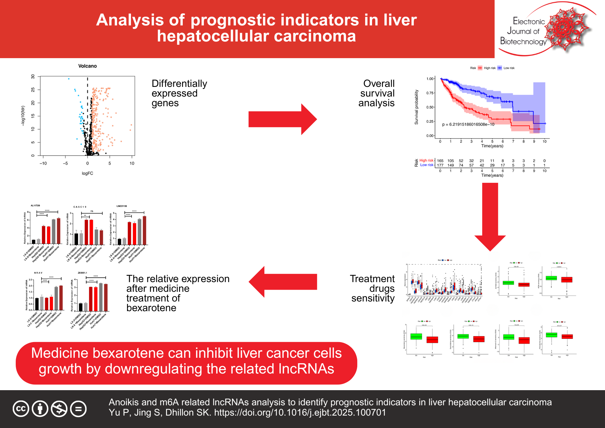 Anoikis- and m6A-related lncRNA analysis to identify prognostic indicators in liver hepatocellular carcinoma