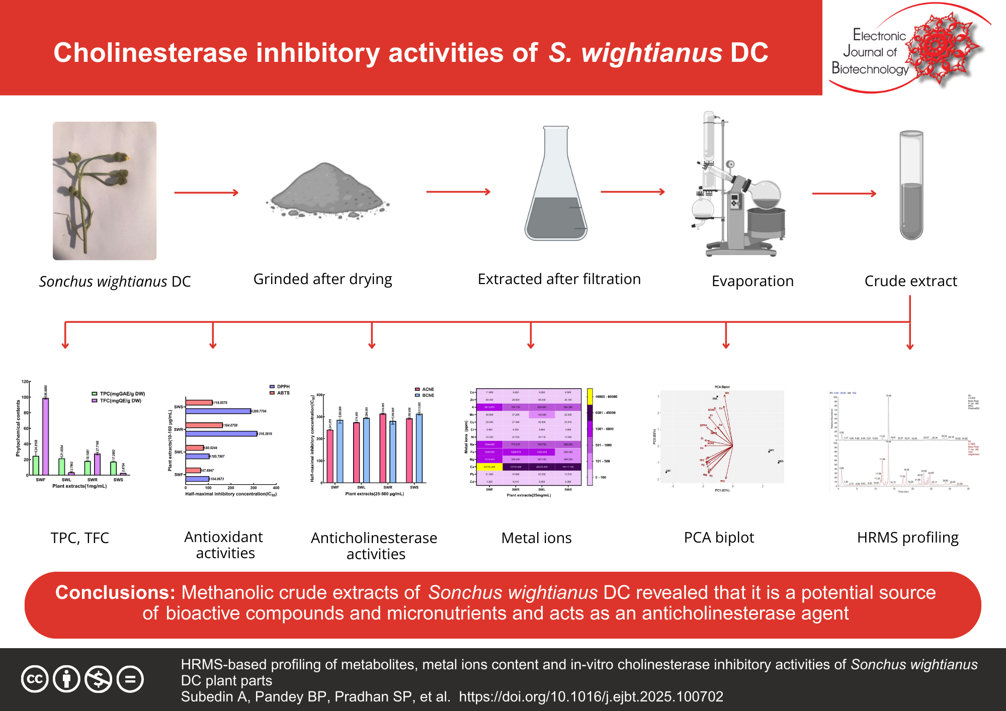 HRMS-based profiling of metabolites, metal ions content and in-vitro cholinesterase inhibitory activities of Sonchus wightianus DC plant parts