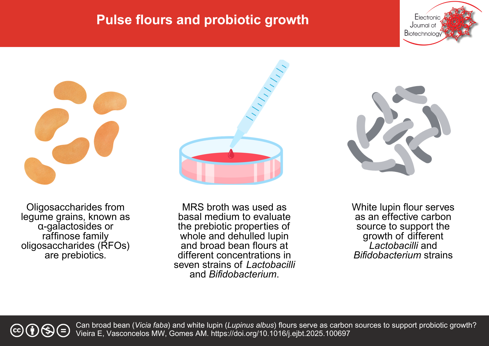 Can broad bean (Vicia faba) and white lupin (Lupinus albus) flours serve as carbon sources to support probiotic growth?