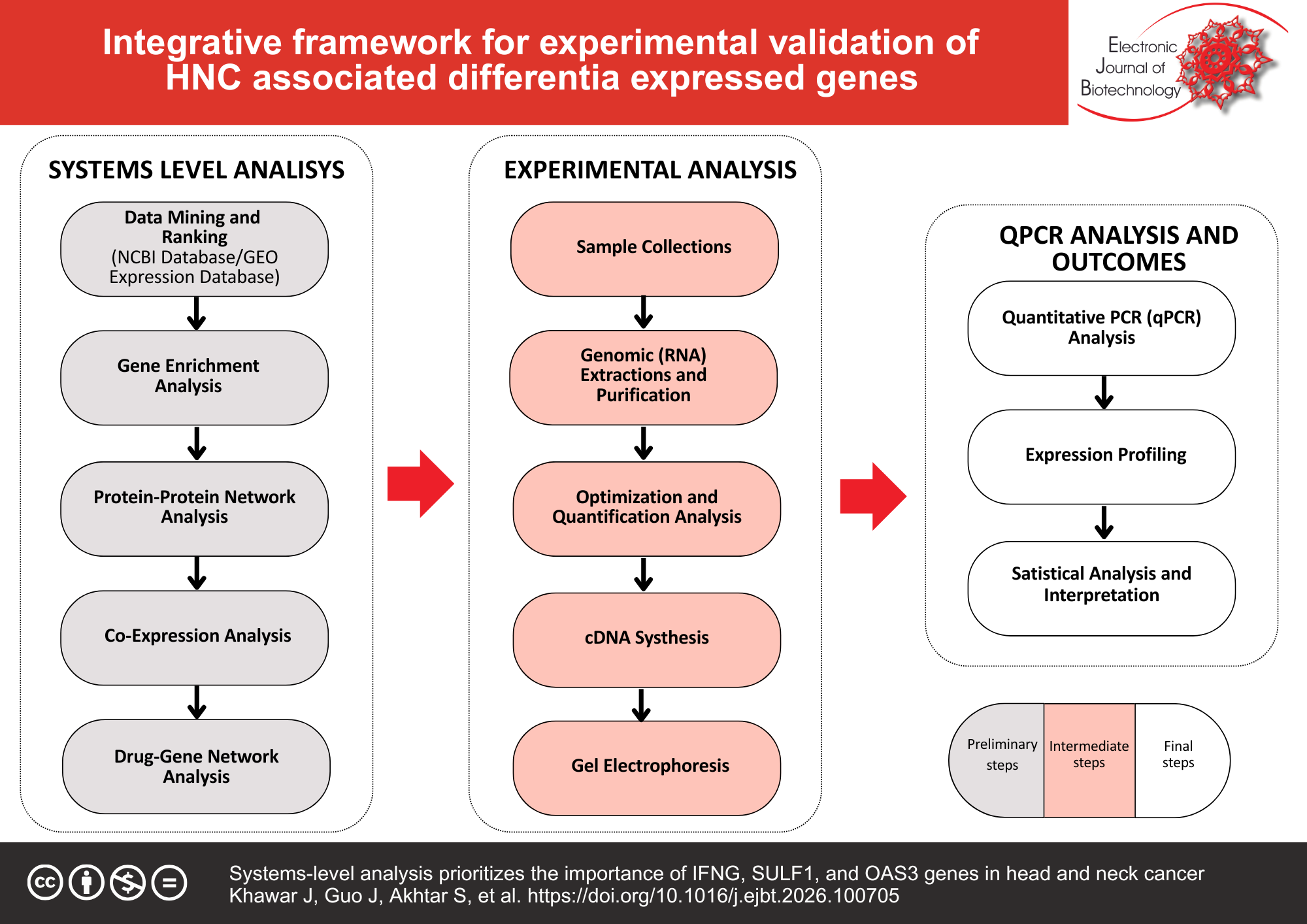 Systems-level analysis prioritizes the importance of IFNG, SULF1, and OAS3 genes in head and neck cancer