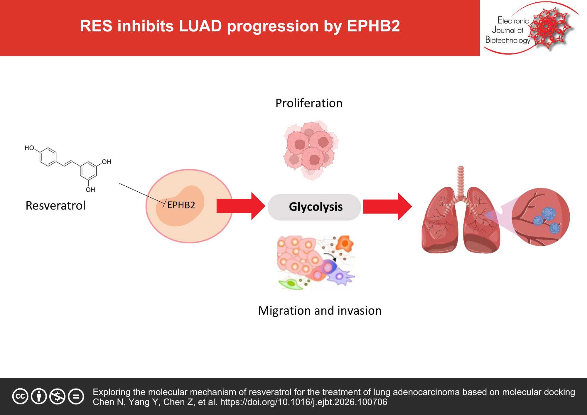 Exploring the molecular mechanism of resveratrol for the treatment of lung adenocarcinoma based on molecular docking