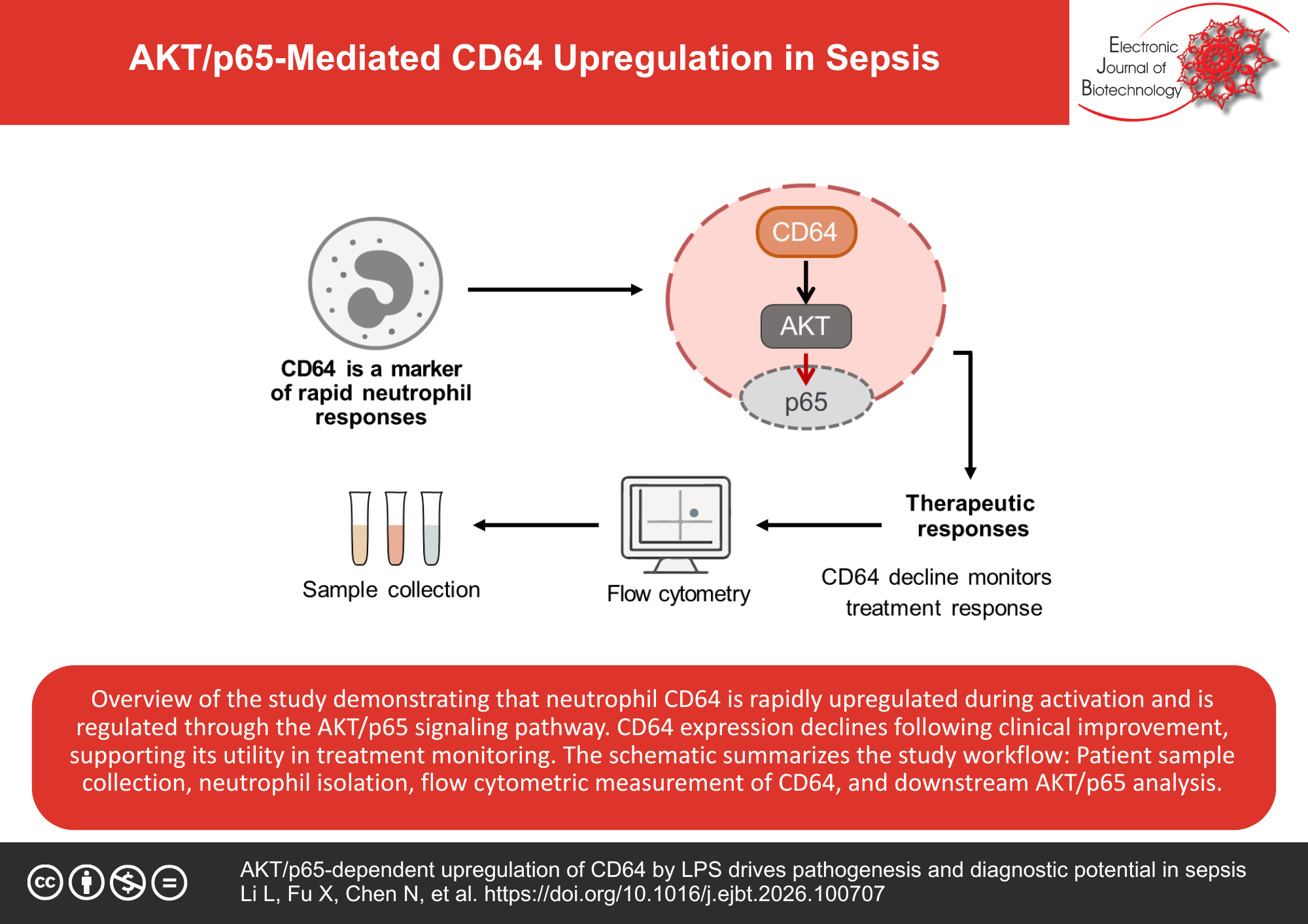 AKT/p65-dependent upregulation of CD64 by LPS drives pathogenesis and diagnostic potential in sepsis