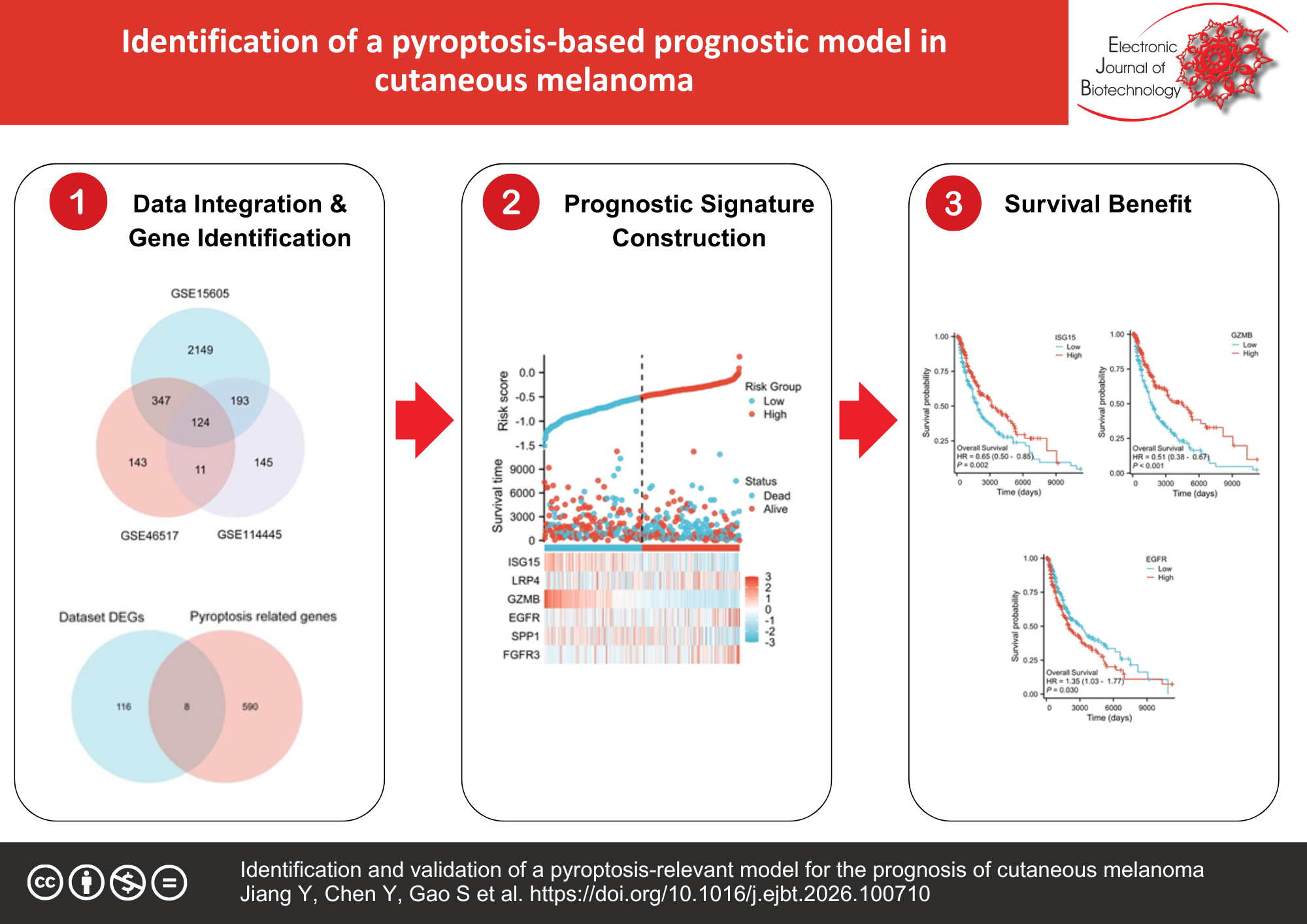 Identification and validation of a pyroptosis-relevant model for the prognosis of cutaneous melanoma