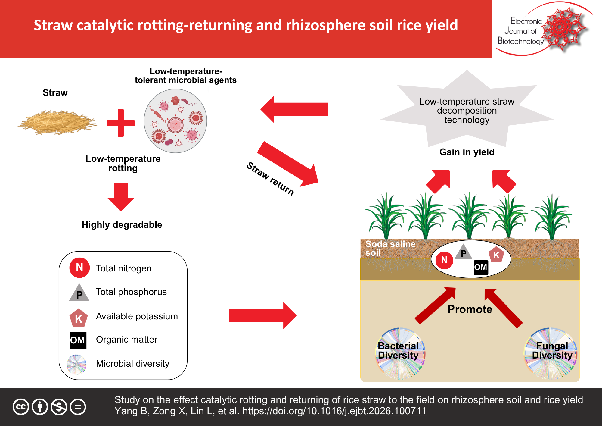 Study on the effect of catalytic rotting and returning of rice straw to the field on rhizosphere soil and rice yield