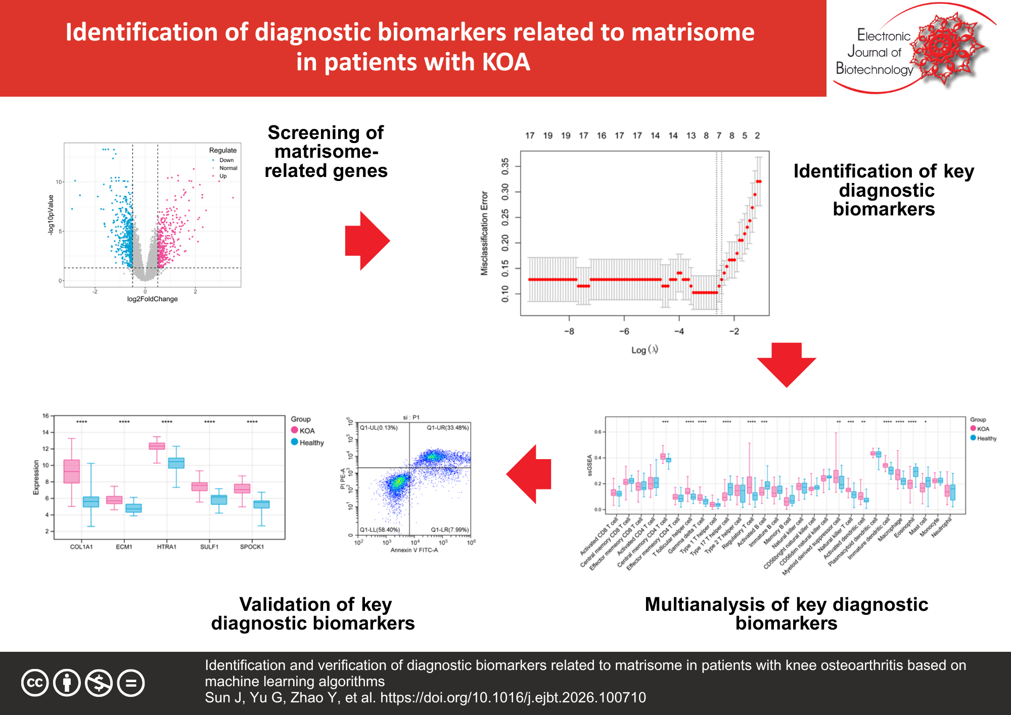 Identification and verification of diagnostic biomarkers related to matrisome in patients with knee osteoarthritis based on machine learning algorithms