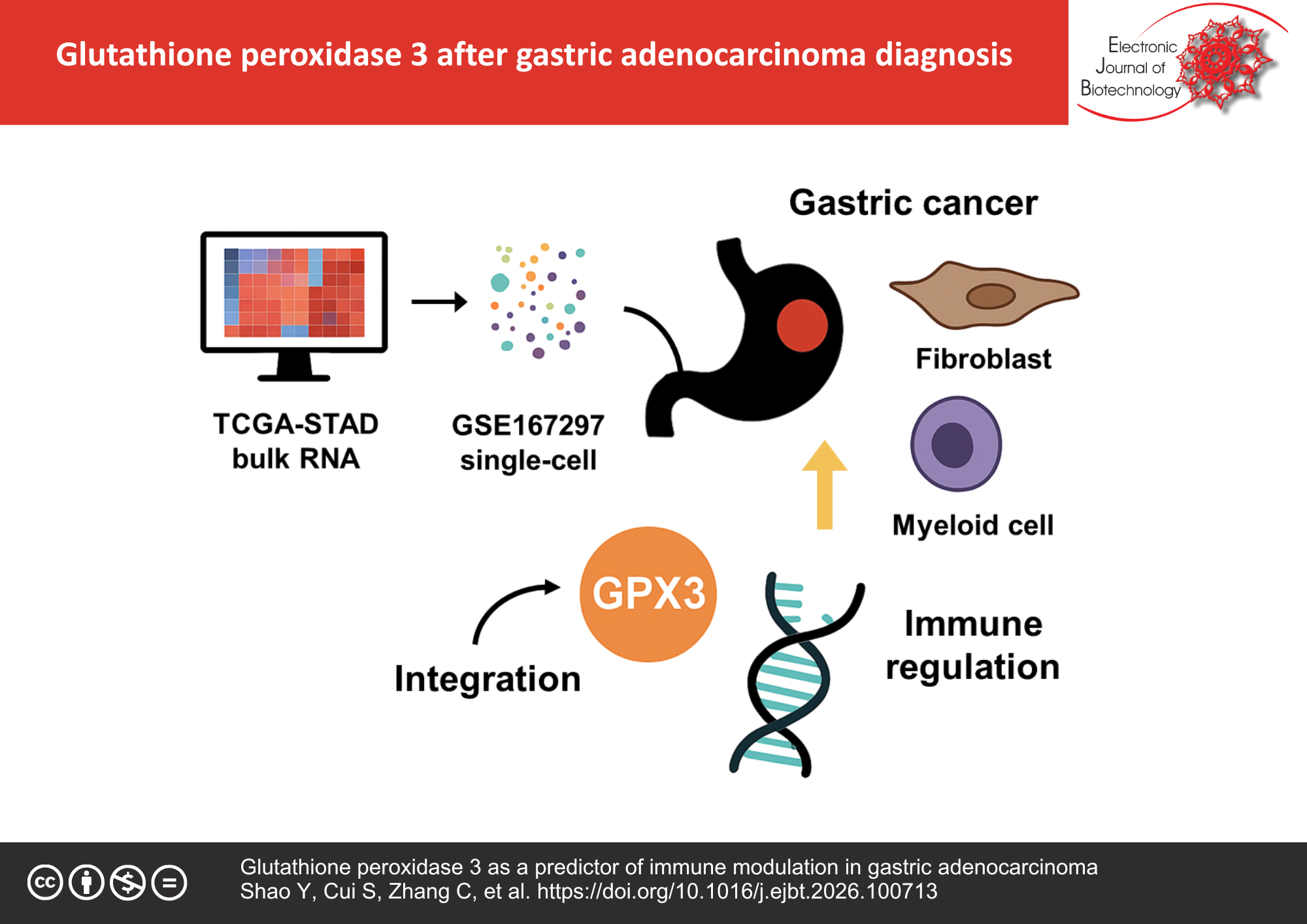 Glutathione peroxidase 3 as a predictor of immune modulation in gastric adenocarcinoma
