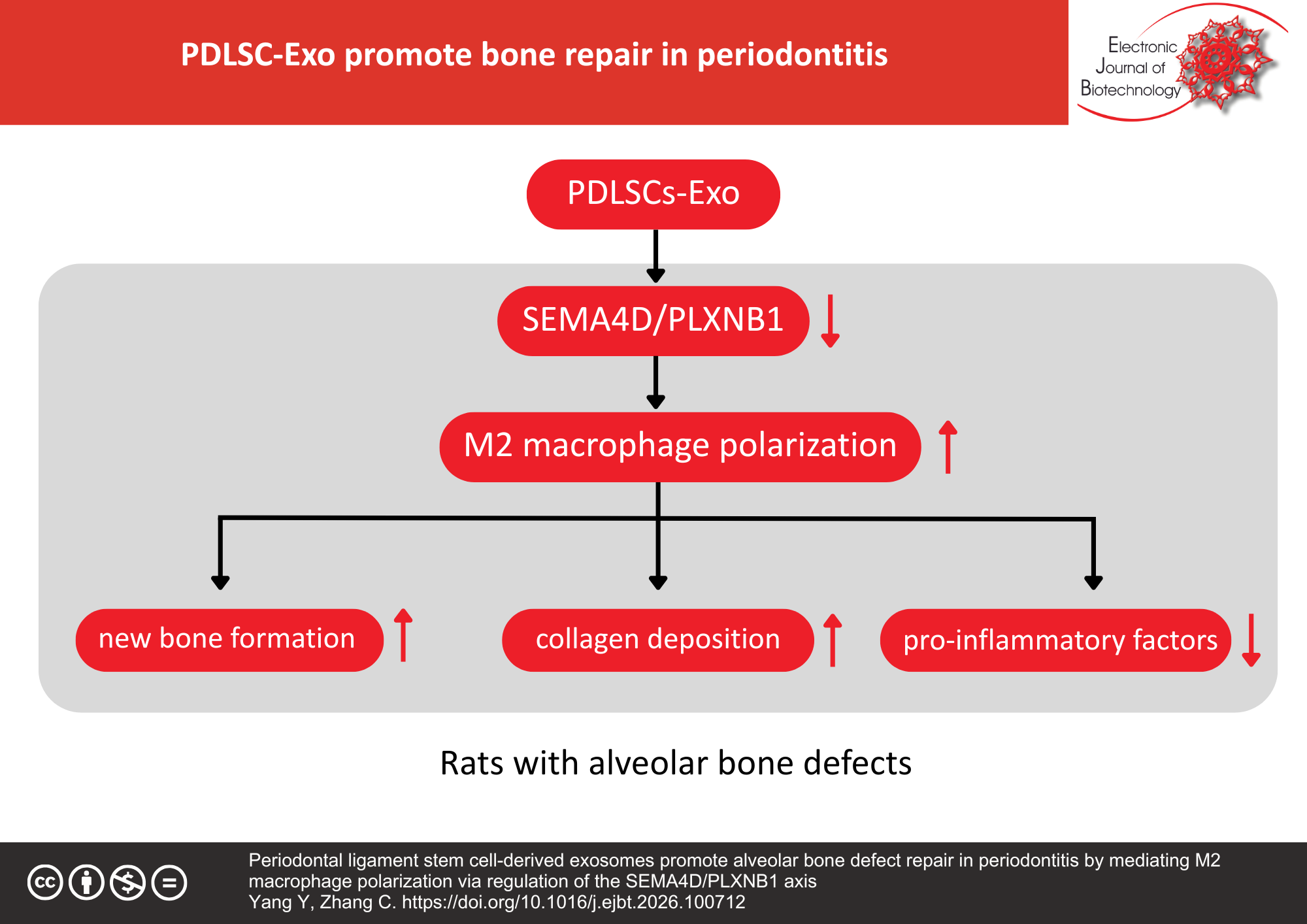 Periodontal ligament stem cell-derived exosomes promote alveolar bone defect repair in periodontitis by mediating M2 macrophage polarization via regulation of the SEMA4D/PLXNB1 axis