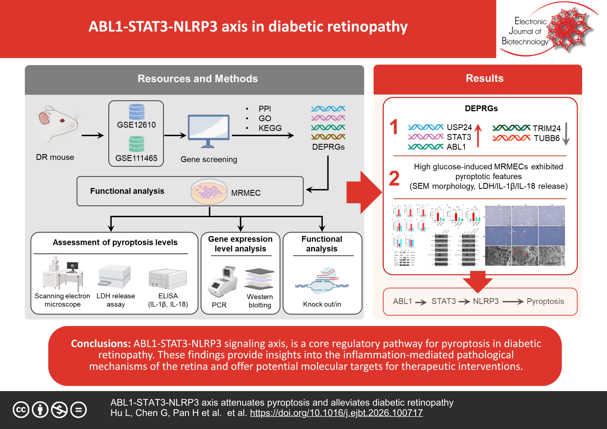 ABL1-STAT3-NLRP3 axis attenuates pyroptosis and alleviates diabetic retinopathy
