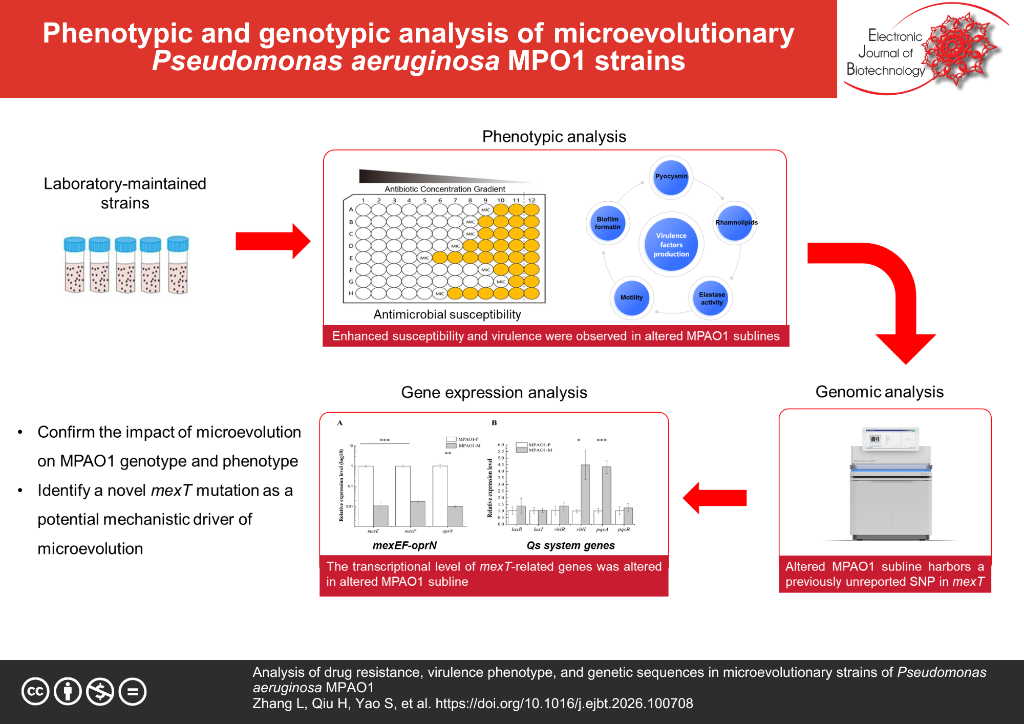 Analysis of drug resistance, virulence phenotype, and genetic sequences in microevolutionary strains of Pseudomonas aeruginosa MPAO1