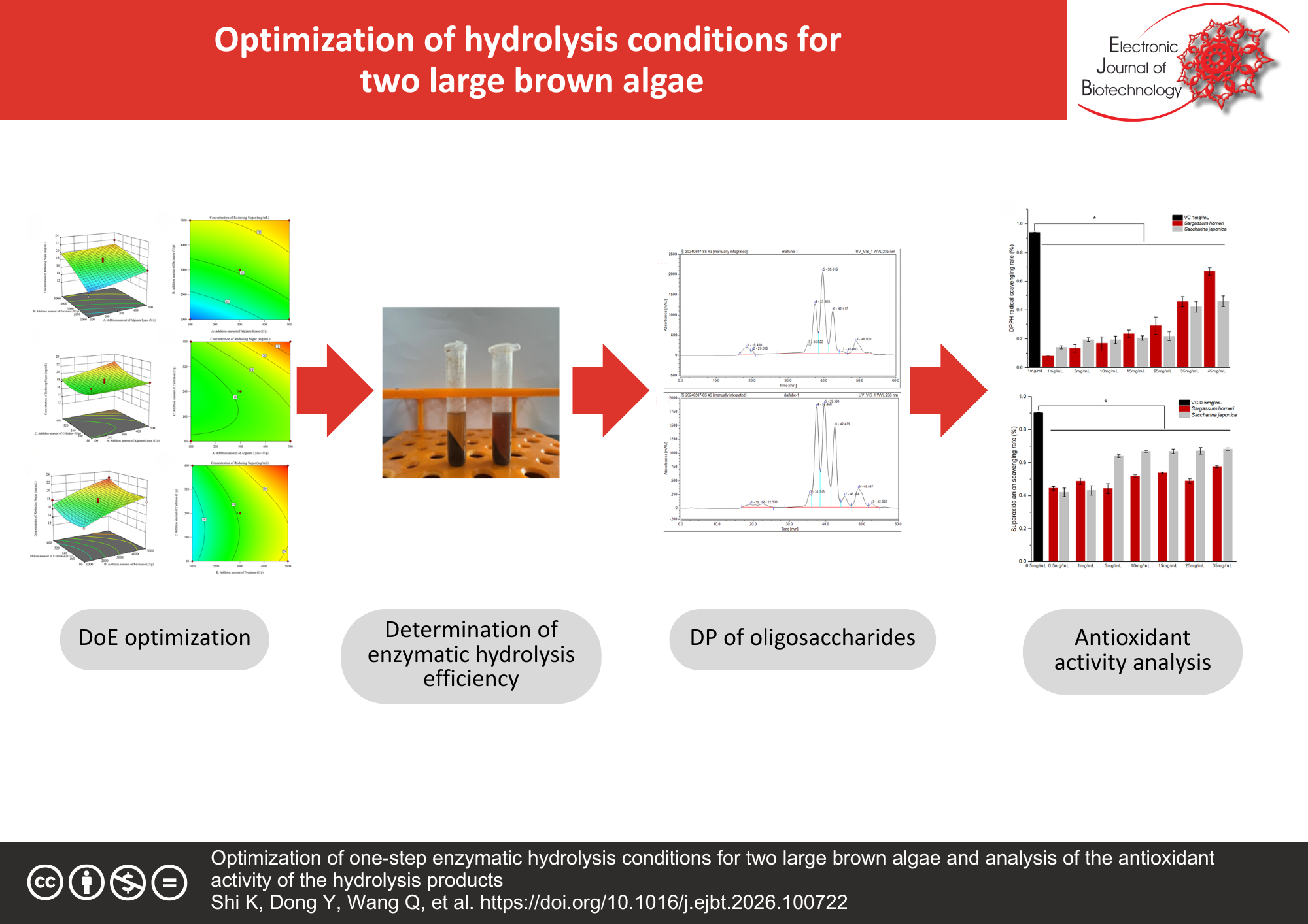 Optimization of one-step enzymatic hydrolysis conditions for two large brown algae and analysis of the antioxidant activity of the hydrolysis products