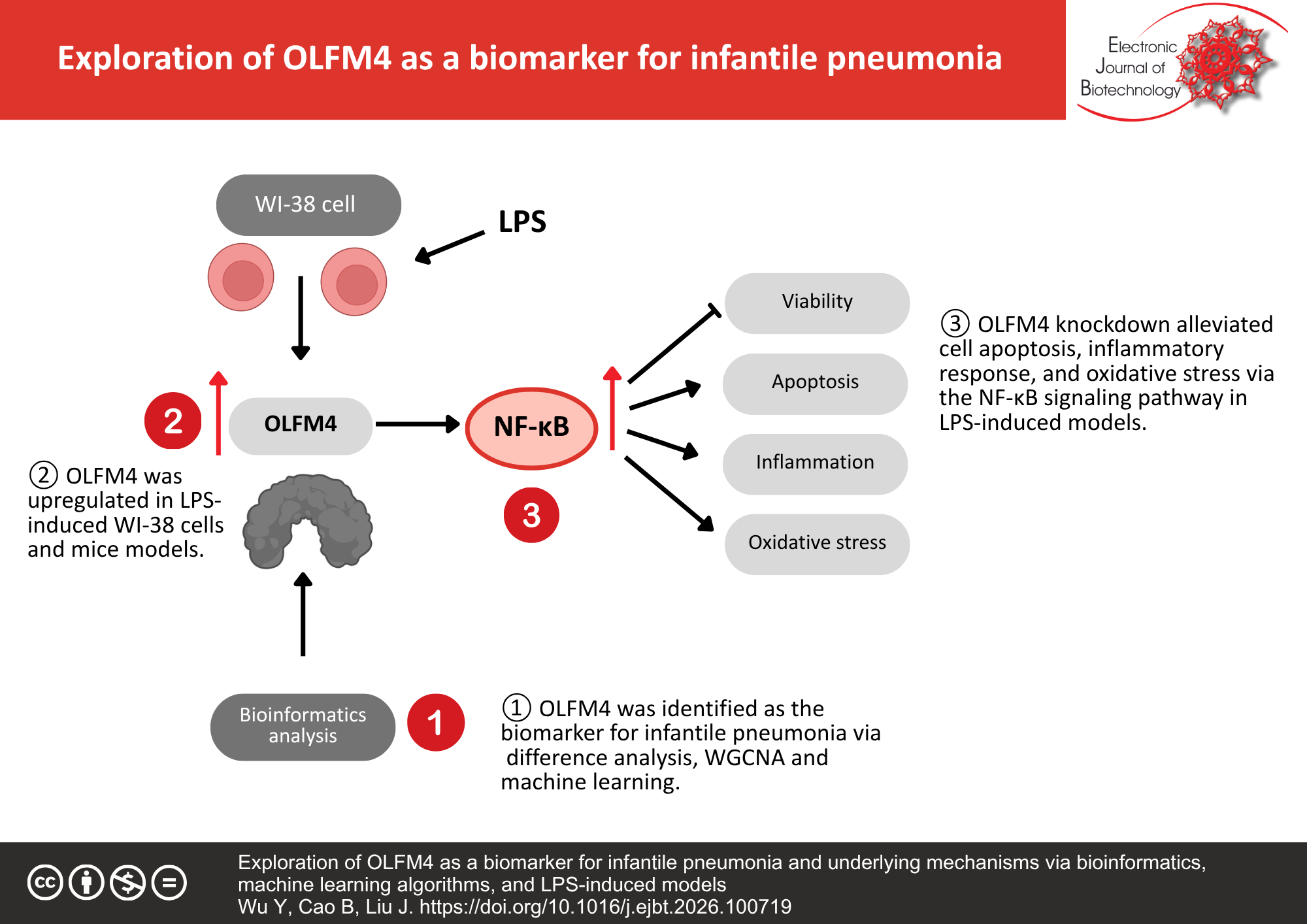 Exploration of OLFM4 as a biomarker for infantile pneumonia and underlying mechanisms via bioinformatics, machine learning algorithms, and LPS-induced models