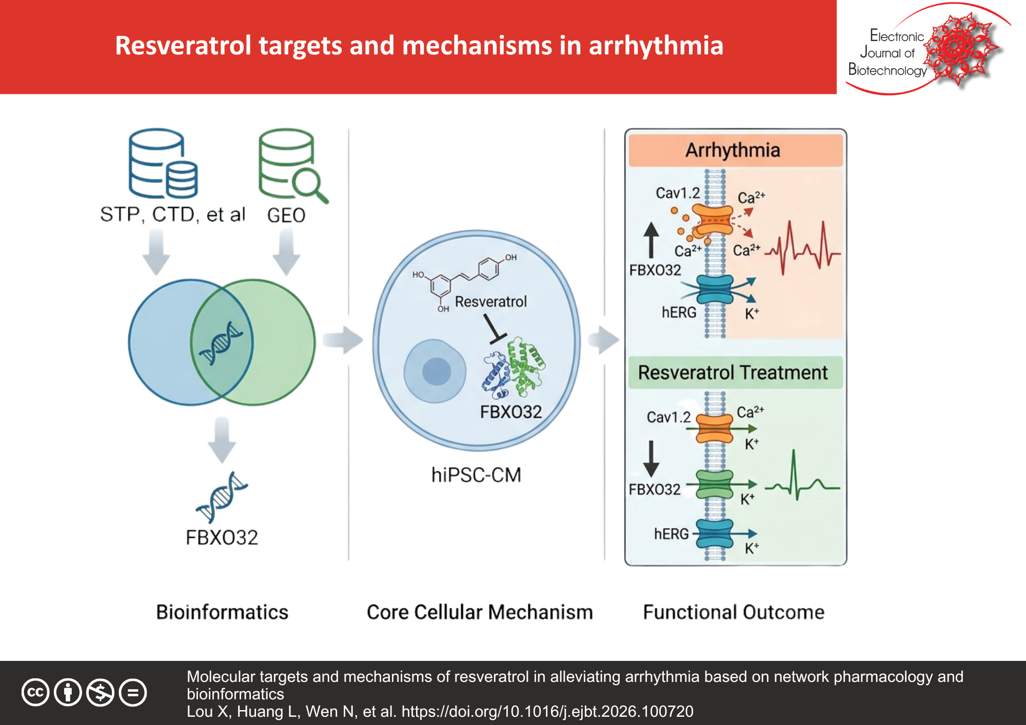 Molecular targets and mechanisms of resveratrol in alleviating arrhythmia based on network pharmacology and bioinformatics