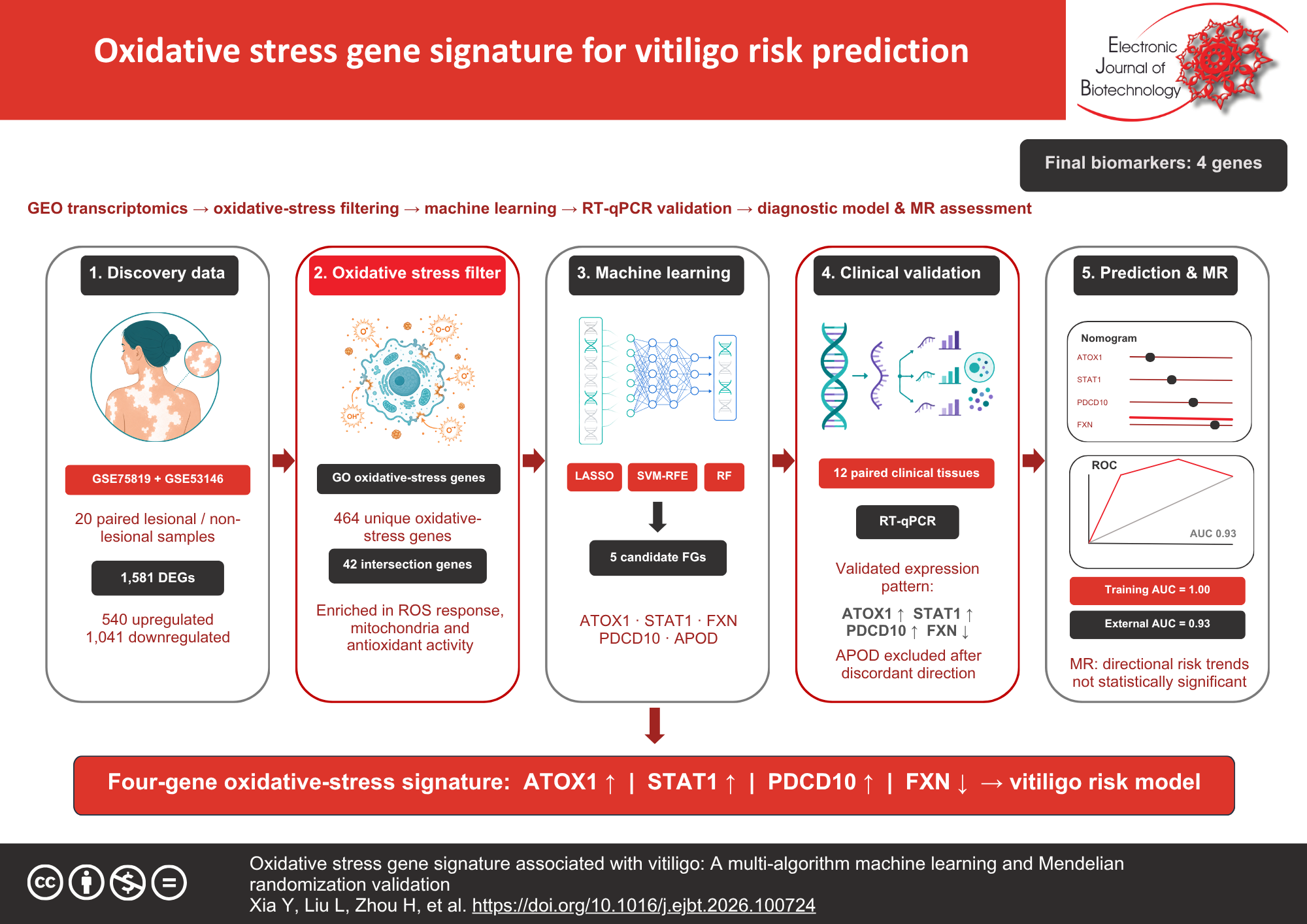 Oxidative stress gene signature associated with vitiligo: A multi-algorithm machine learning and Mendelian randomization validation